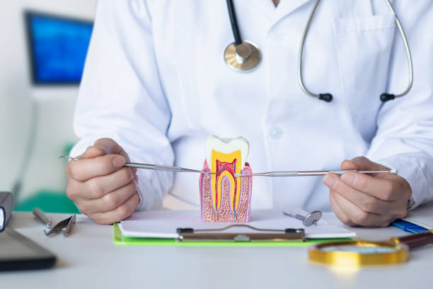 Best Same-Day Emergency Dental Services in Grizzly Flats, CA